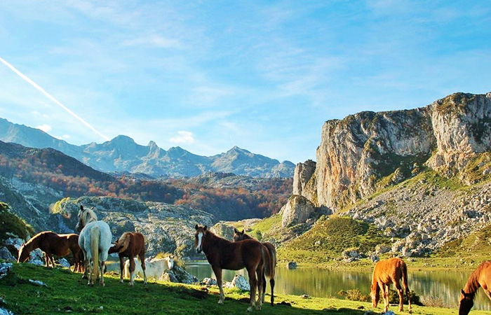 fotos de Asturias - Calidad Rural