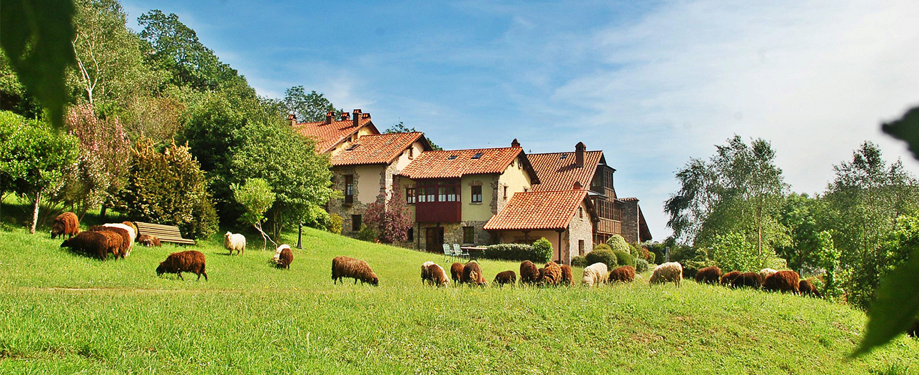 Paisaje Rural Asturias